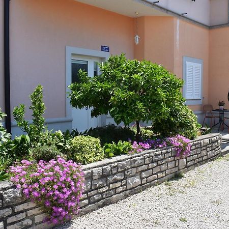 Apartman Fachin Motovun Exterior foto